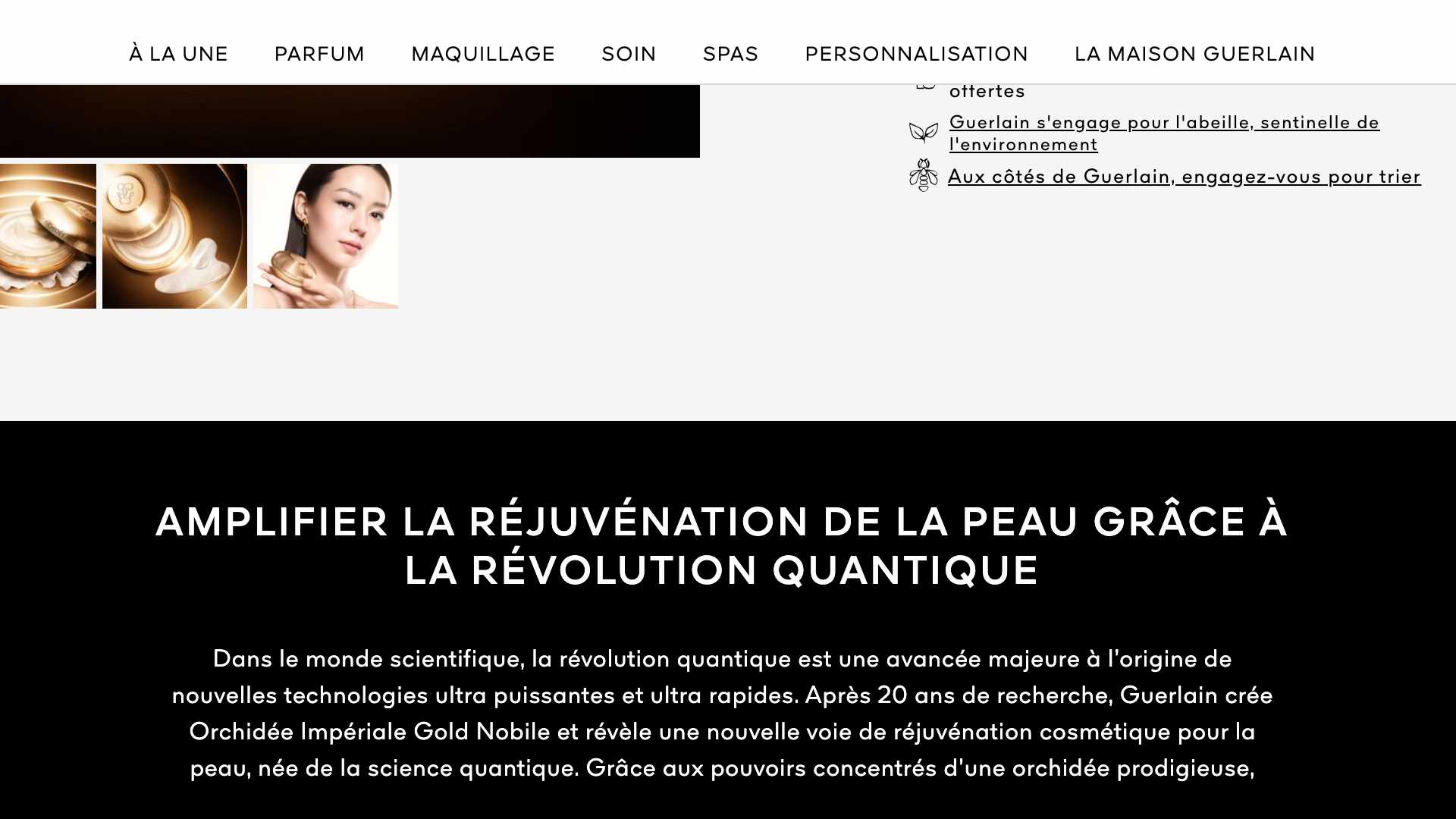 Le site de Guerlain avant