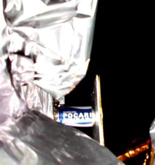 Zoom dans le selfie de Peregrine. // Source : Astrobotic Technology
