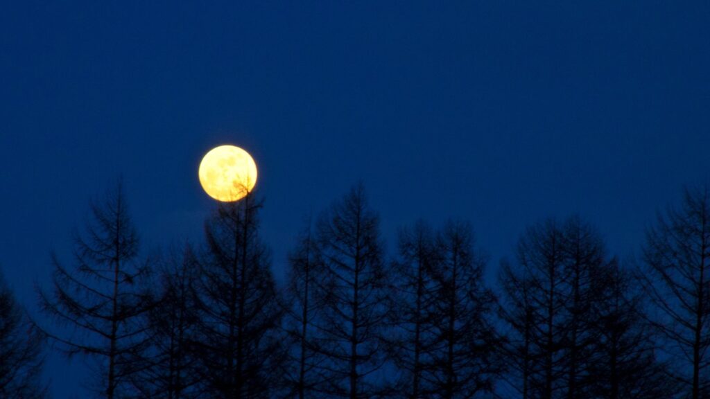 Full moon.  // Source: Canva
