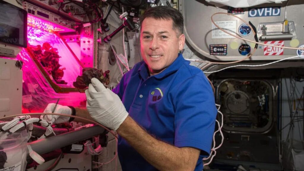 L'astronauta Shane Kimbrough con un'insalata coltivata con metodo idroponico sulla Stazione Spaziale Internazionale.  // Fonte: NASA