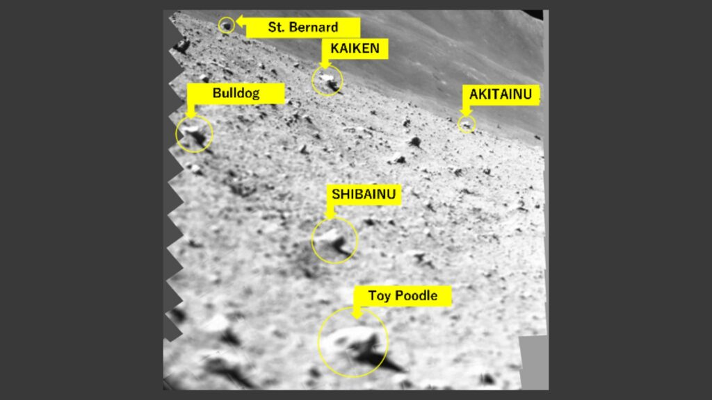 Rocks observed by SLIM, including “Toy Poodle”.  // Source: JAXA, RITSUMEIKAN UNIVERSITY, THE UNIVERSITY OF AIZU
