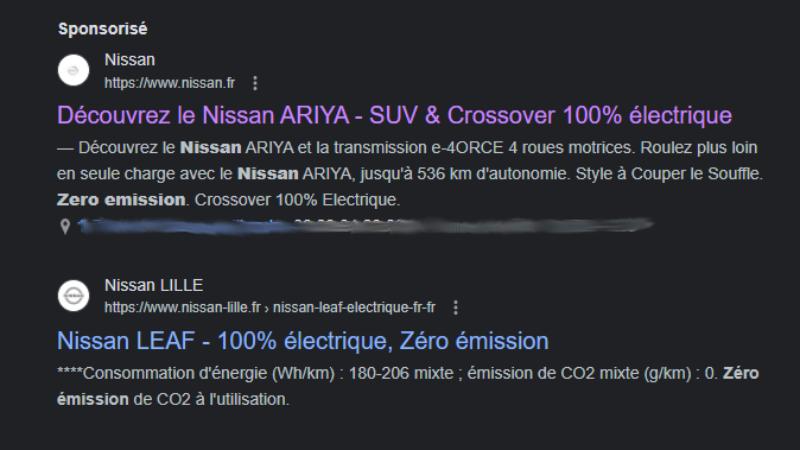 Example of Adwords with the term zero emissions in France // Source: screenshot