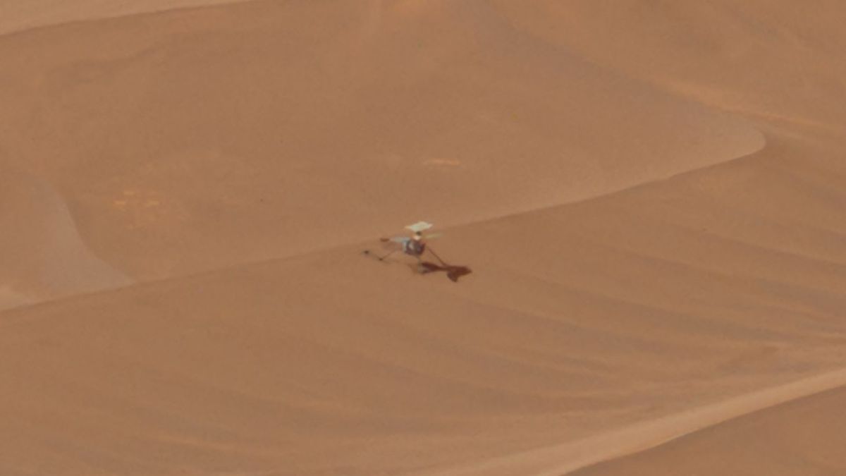 Ingenuity sur Mars. // Source : Via X @stim3on