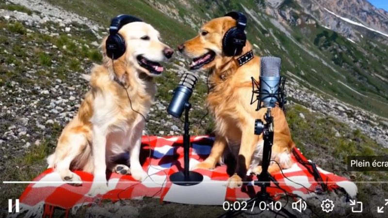 Comment essayer Sora (OpenAI), l’intelligence artificielle qui fabrique des vidéos ?