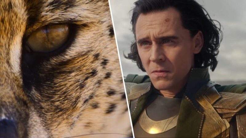 Oui, Tom Hiddleston narre une série docu incroyable sur Apple TV+