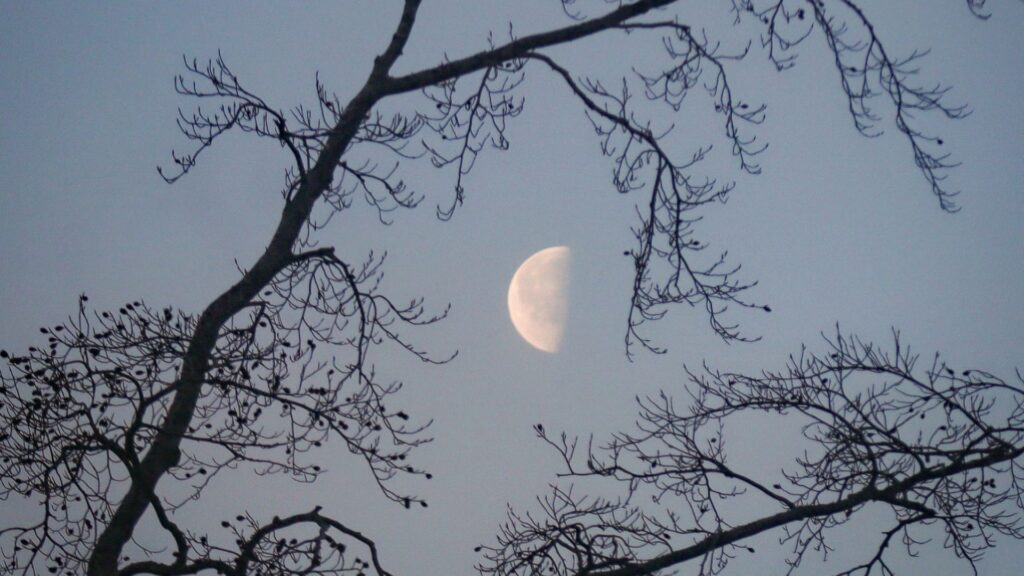 Half Moon.  // Source: Canva