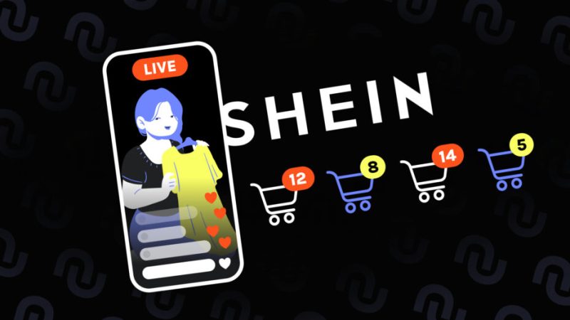 « Si je n’ai plus d’argent, je volerai la carte de mon mari » : les secrets de Shein pour rendre accro à la fast fashion