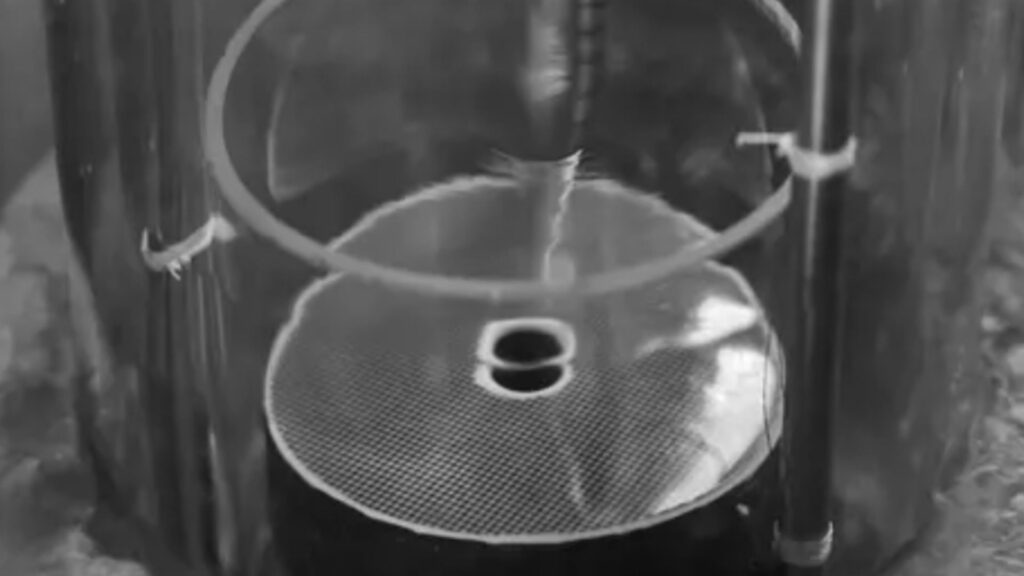 Une tornade quantique a été créée dans de l'hélium superfluide. // Source : Leonardo Solidoro