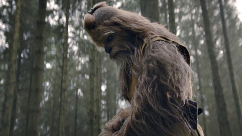 Oui, c’est bien un Wookie Jedi dans The Acolyte