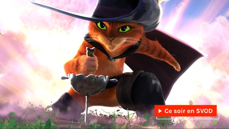 3 films avec des chats à voir sur Netflix, après Le Chat Potté 2