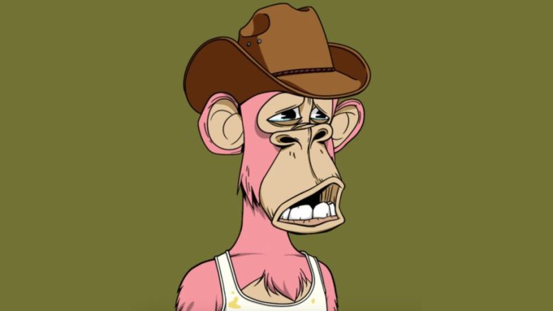 Les NFT Bored Ape vont de plus en plus mal