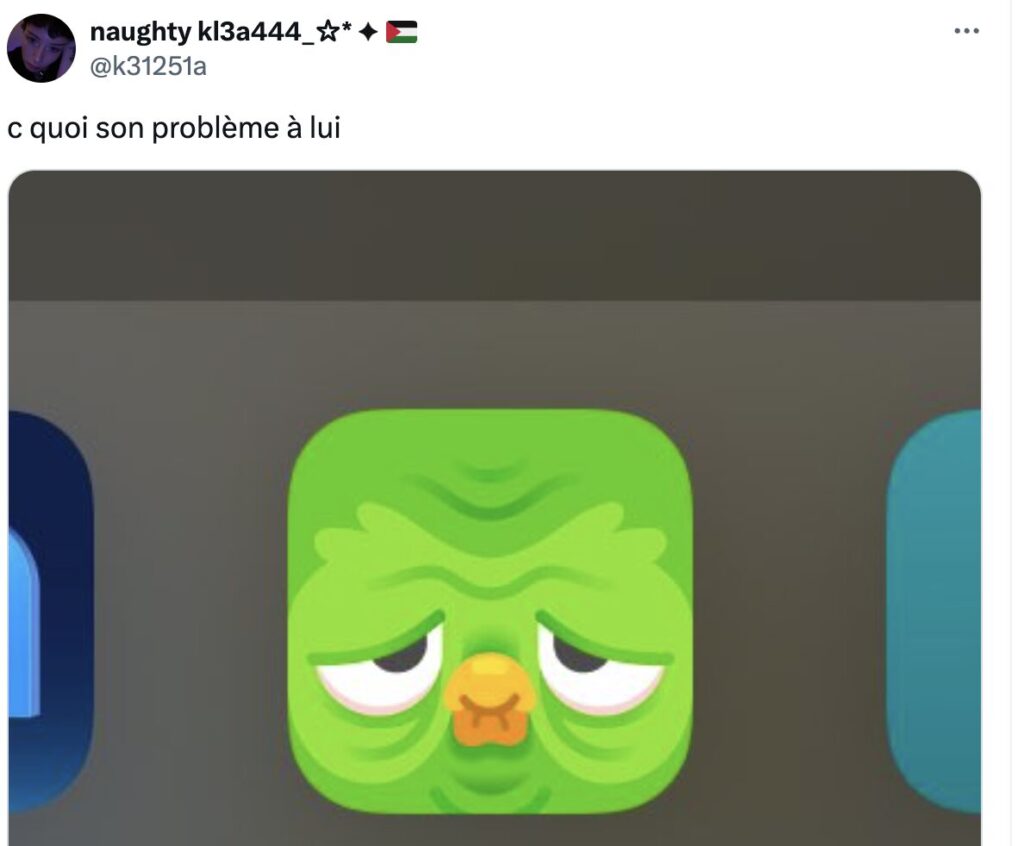 Le nombre de tweets sur l'icône de Duolingo est impressionnant. L'application fait parler d'elle.