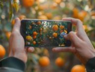 La recherche d'un mandarinier avec Google Lens. // Source : Numerama avec Midjourney