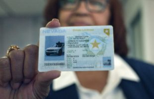 Premier robotaxi à obtenir le permis de conduire // Source : Hyundai