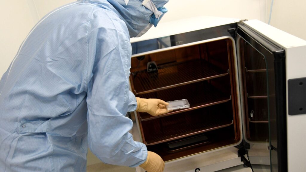 Bioprinted skin tests are carefully stored.  // Source: AP-HM