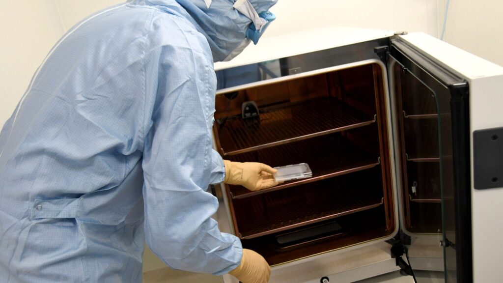 Bioprinted skin tests are carefully stored. // Source: AP-HM