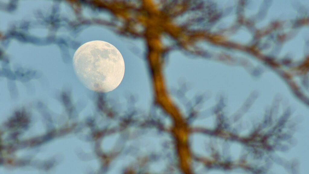La Lune. // Source : Canva