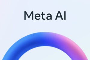 Source : Meta