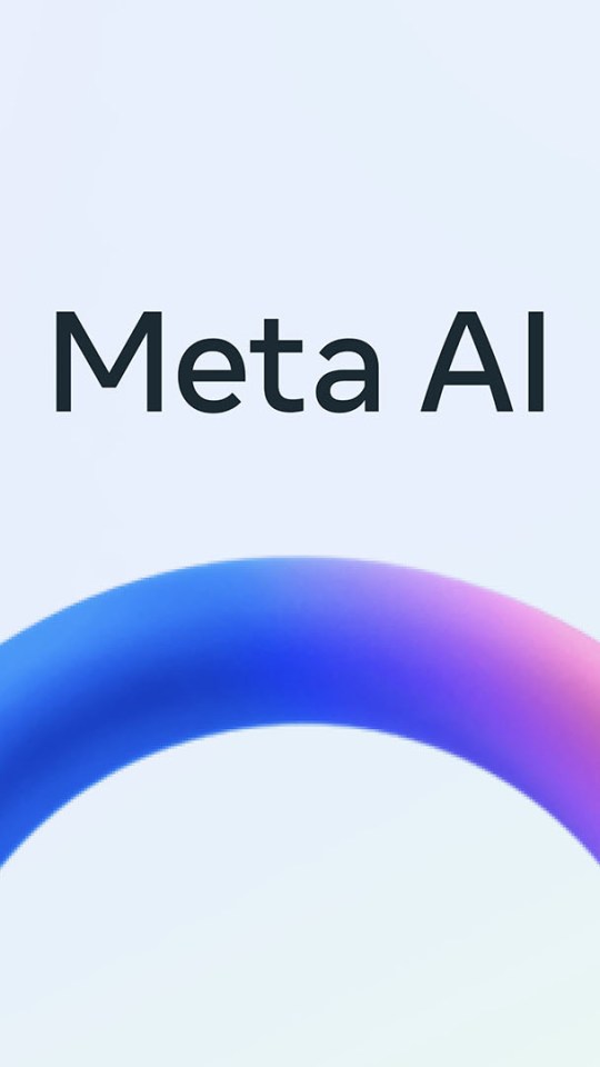 Source : Meta