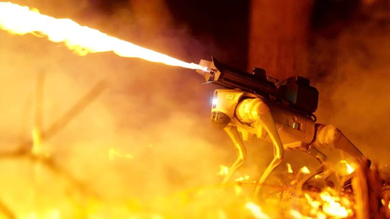 Il s’appelle Thermonator et c’est un robot-chien équipé d’un lance-flammes