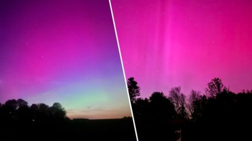 Les internautes ont partagé de nombreuses photos très belles du ciel nocturne. // Source : Images partagées sur X/Twitter : @SiriusA_L // @SeannFr
