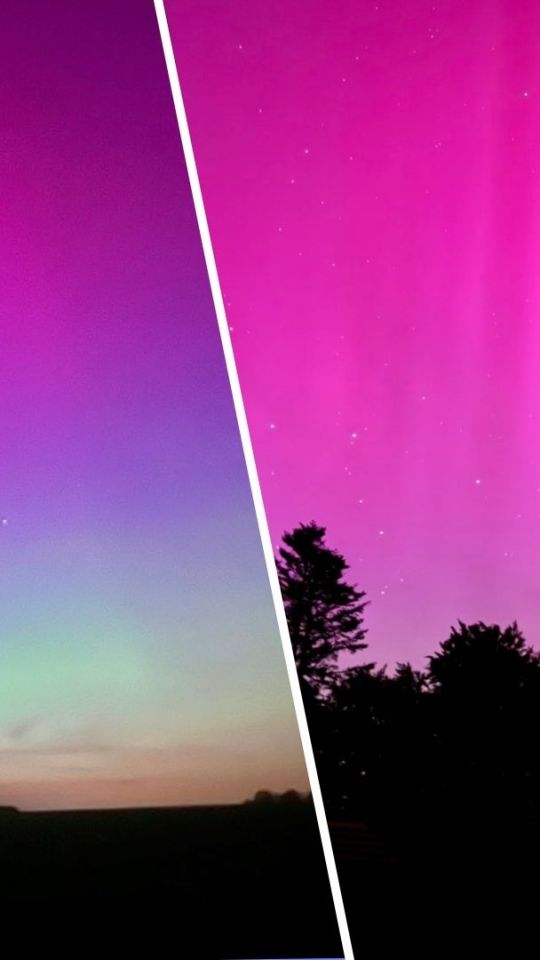 Les internautes ont partagé de nombreuses photos très belles du ciel nocturne. // Source : Images partagées sur X/Twitter : @SiriusA_L // @SeannFr