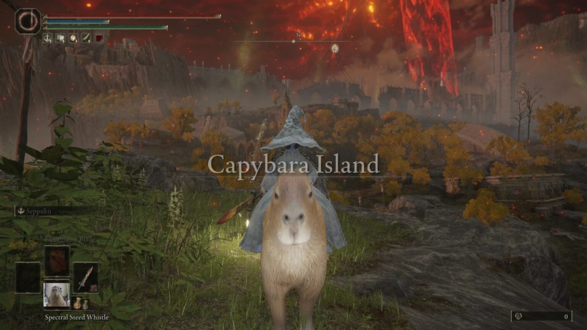 Mod capybara pour Elden Ring // Source : Nexus Mods