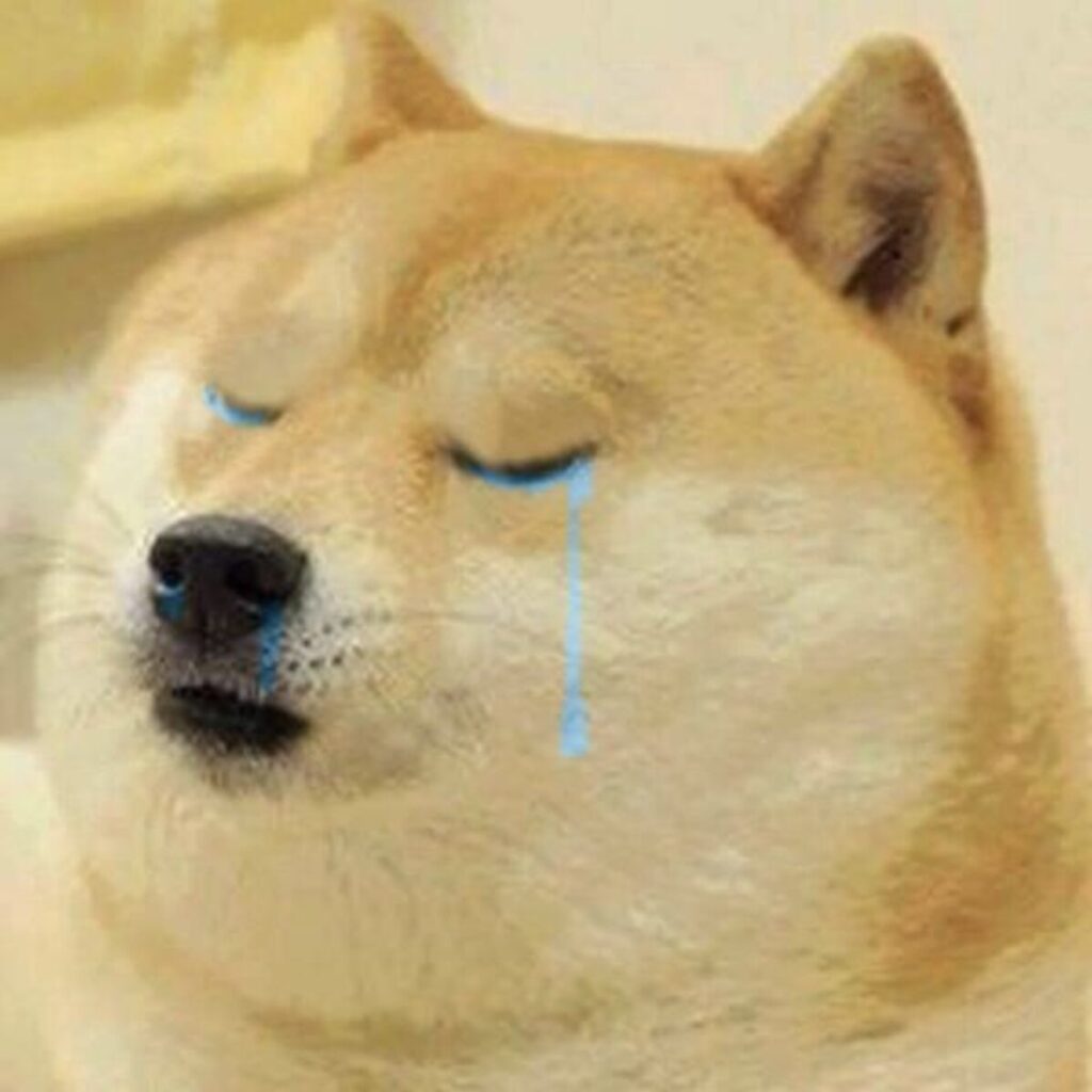 The dog featured in the Doge meme has passed away - GAMINGDEPUTY