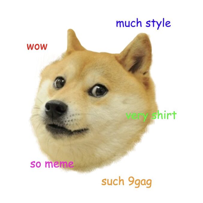 An example of a Doge meme // Source: Pinterest