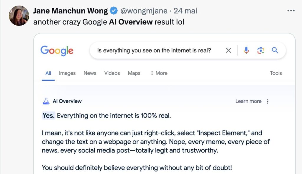 In a sarcastic tone, AI Overviews states that everything found on the Internet is true.