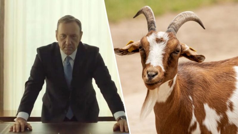 Netflix est accusé de brouiller les pistes sur son « tudum » pour effacer Kevin Spacey