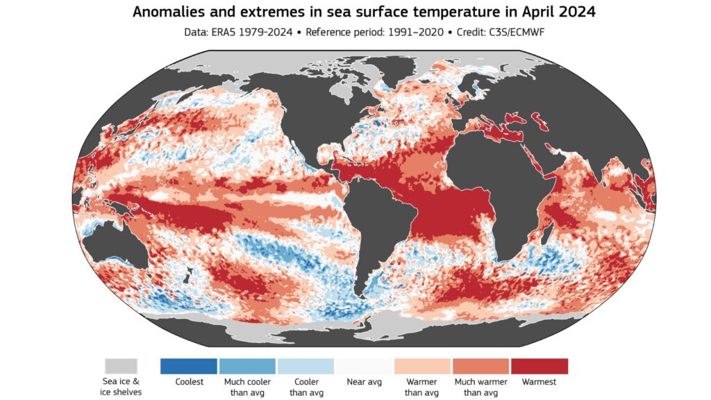 Anomalies de chaleur à la surface de la mer en avril 2024. // Source : Copernicus