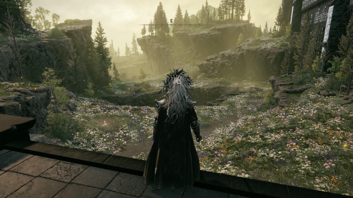 Elden Ring: Shadow of the Erdtree // Source : Capture PS5