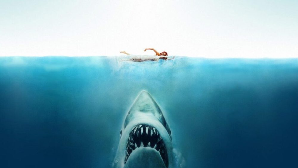 Les Dents de la Mer // Source : Universal Pictures