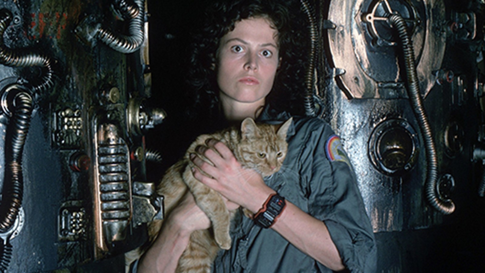 Alien, le huitième passager - Streaming, casting, bandes-annonces et