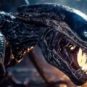 Coucou le xénomorphe // Source : Twentieth Century Fox