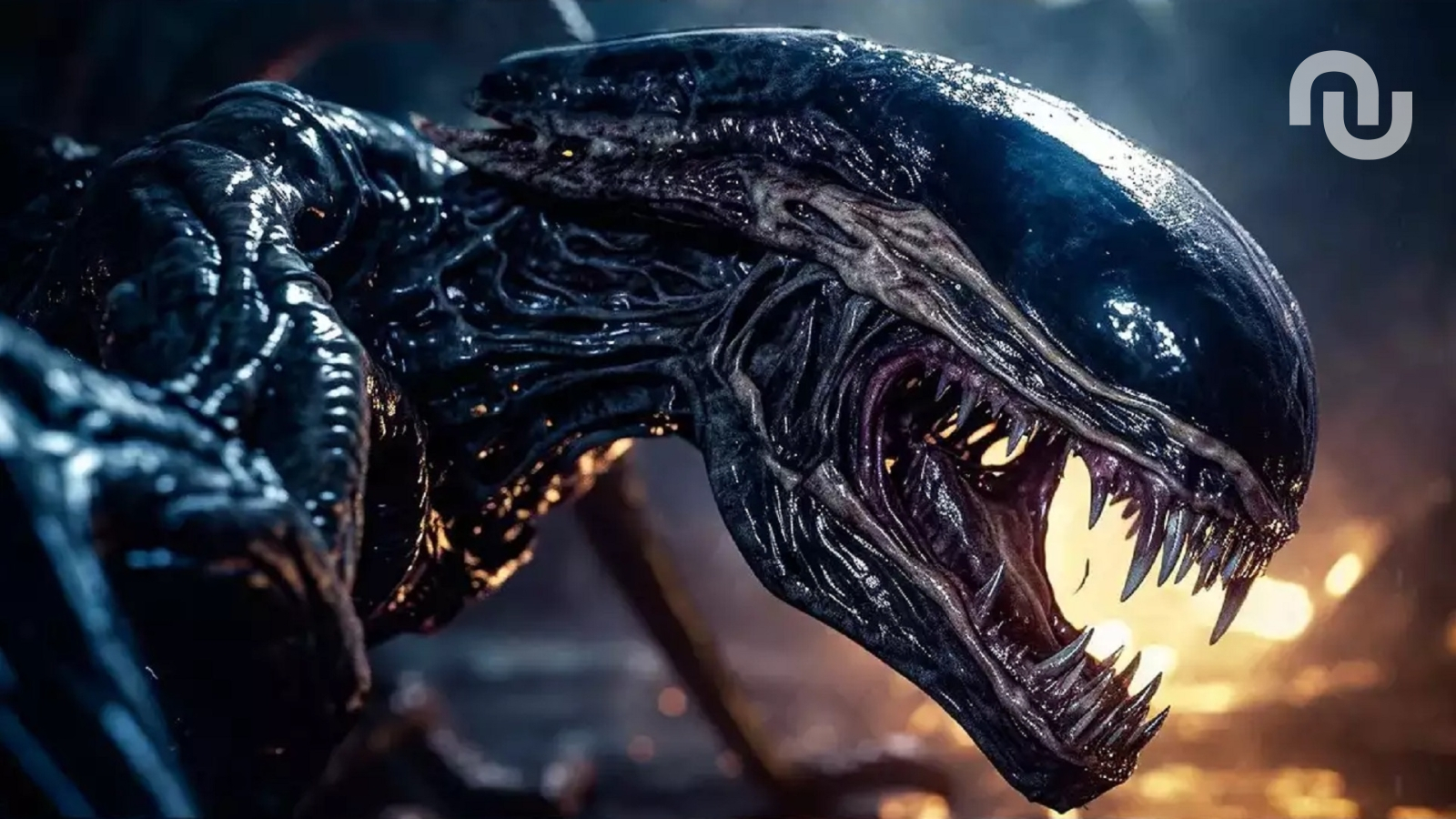 8 films et séries à voir sur Disney+ en mai 2025