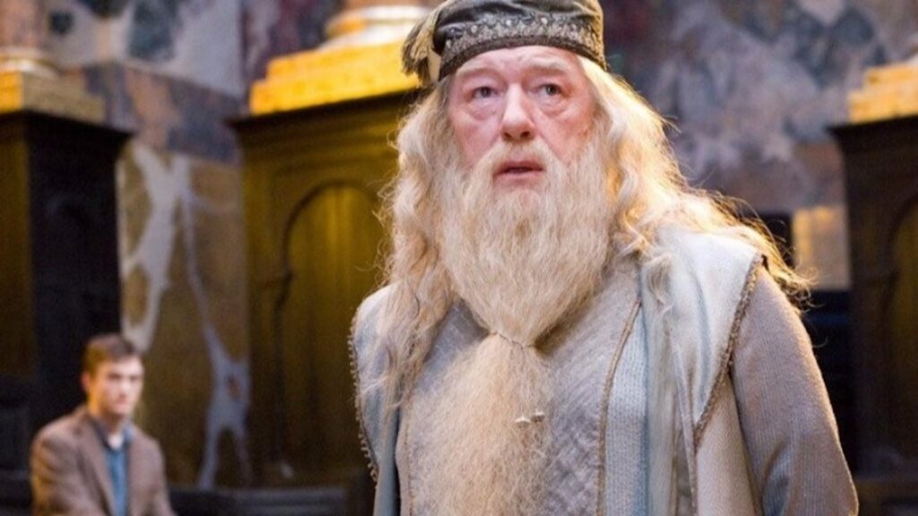 Dumbledore dans Harry Potter // Source : Warner Bros