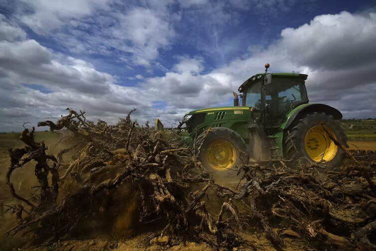 Les conditions météorologiques extrêmes, telles que la sécheresse, constituent un problème important pour les agriculteurs. // Source :  EPA-EFE/Guillaume Horcajuelo