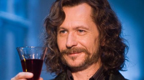 Sirius Black dans Harry Potter // Source : Warner Bros