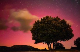 Aurore boréale depuis le sud de l'Ardèche. // Source : Via X @nouchka07 (photo recadrée)