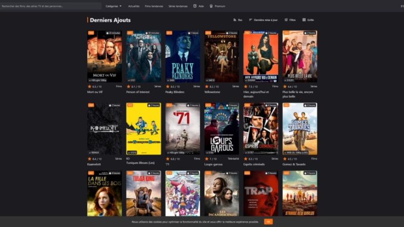 Des sites de streaming pirates se font encore bloquer massivement en France