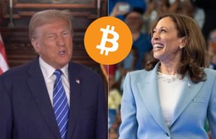 Donald Trump et Kamala Harris, avec un logo Bitcoin. // Source : Montage Numerama / Images Instagram/X