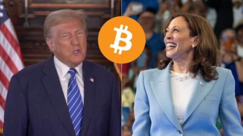 Donald Trump et Kamala Harris, avec un logo Bitcoin. // Source : Montage Numerama / Images Instagram/X