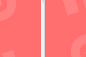 Apple Pencil USB-C // Source : Apple
