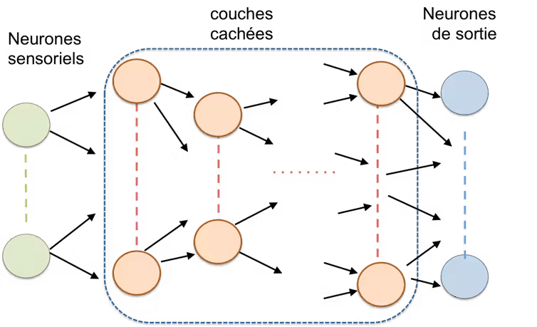 réseaux de neurones artificiels 1