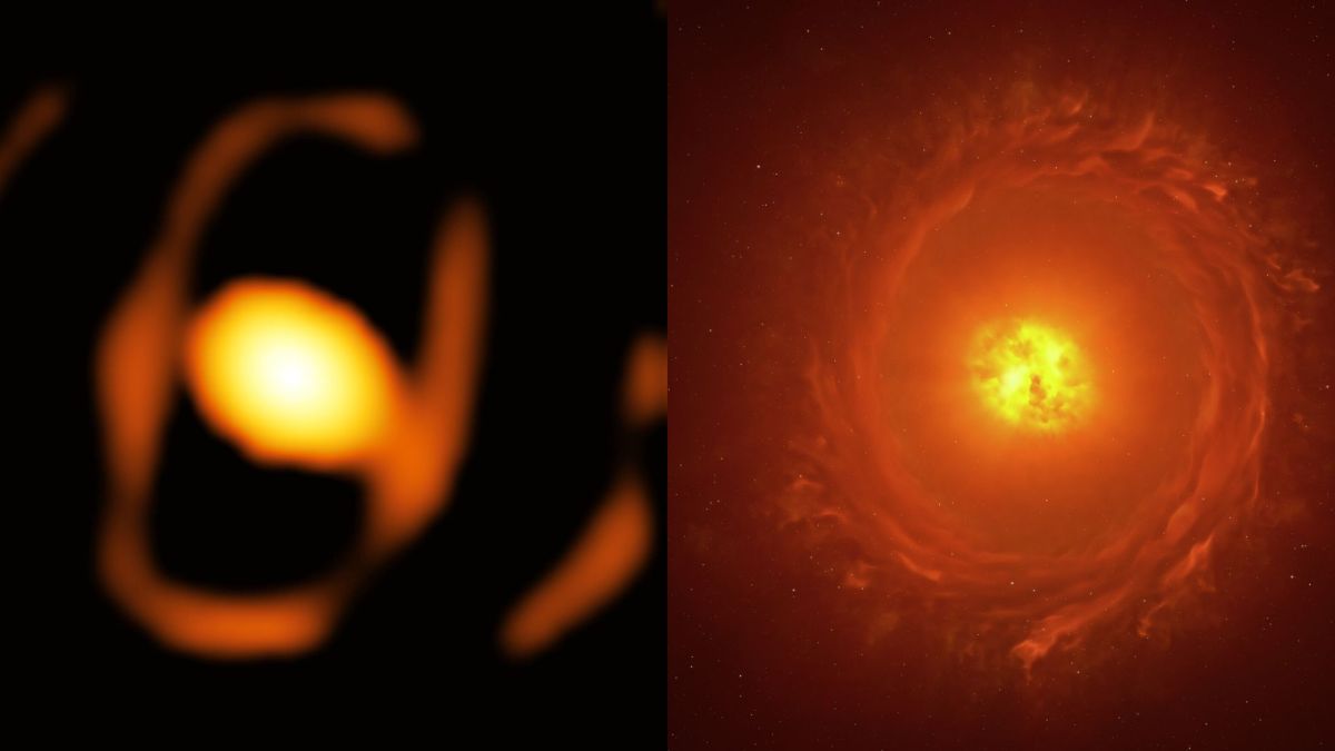 Image de l'étoile WOH G64 à côté d'une représentation artistique // Source : ESO/K Ohnaka et al., L. Calçada