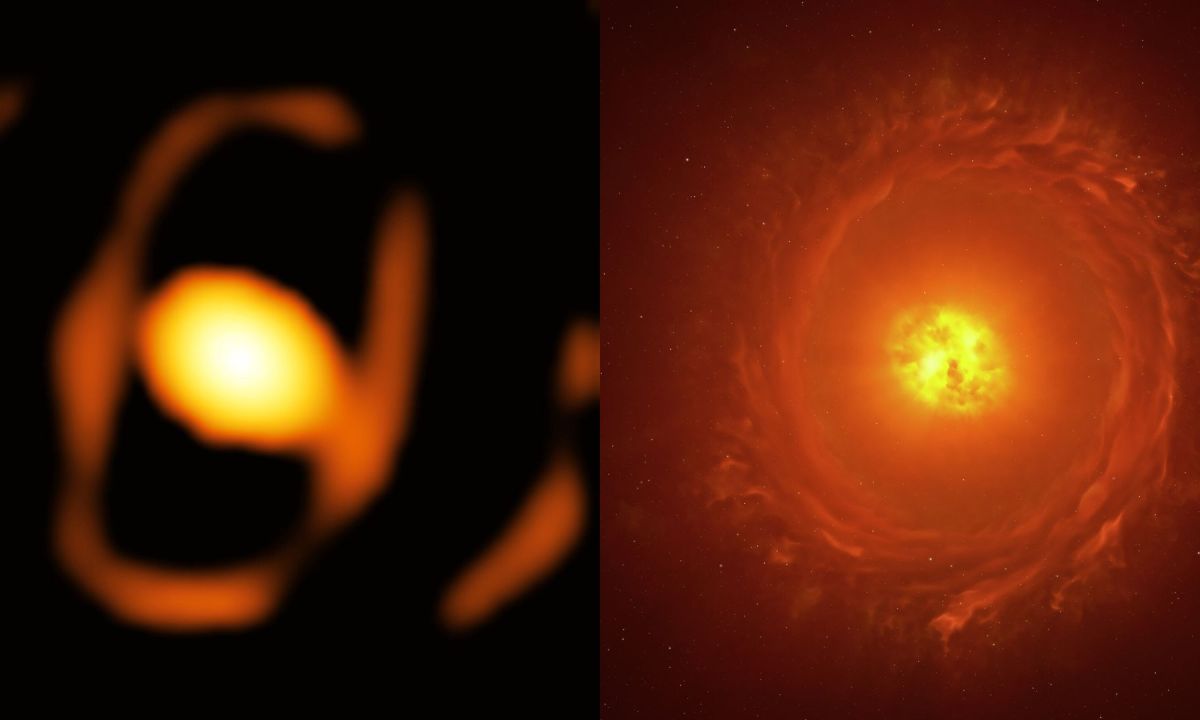 Image de l'étoile WOH G64 à côté d'une représentation artistique // Source : ESO/K Ohnaka et al., L. Calçada