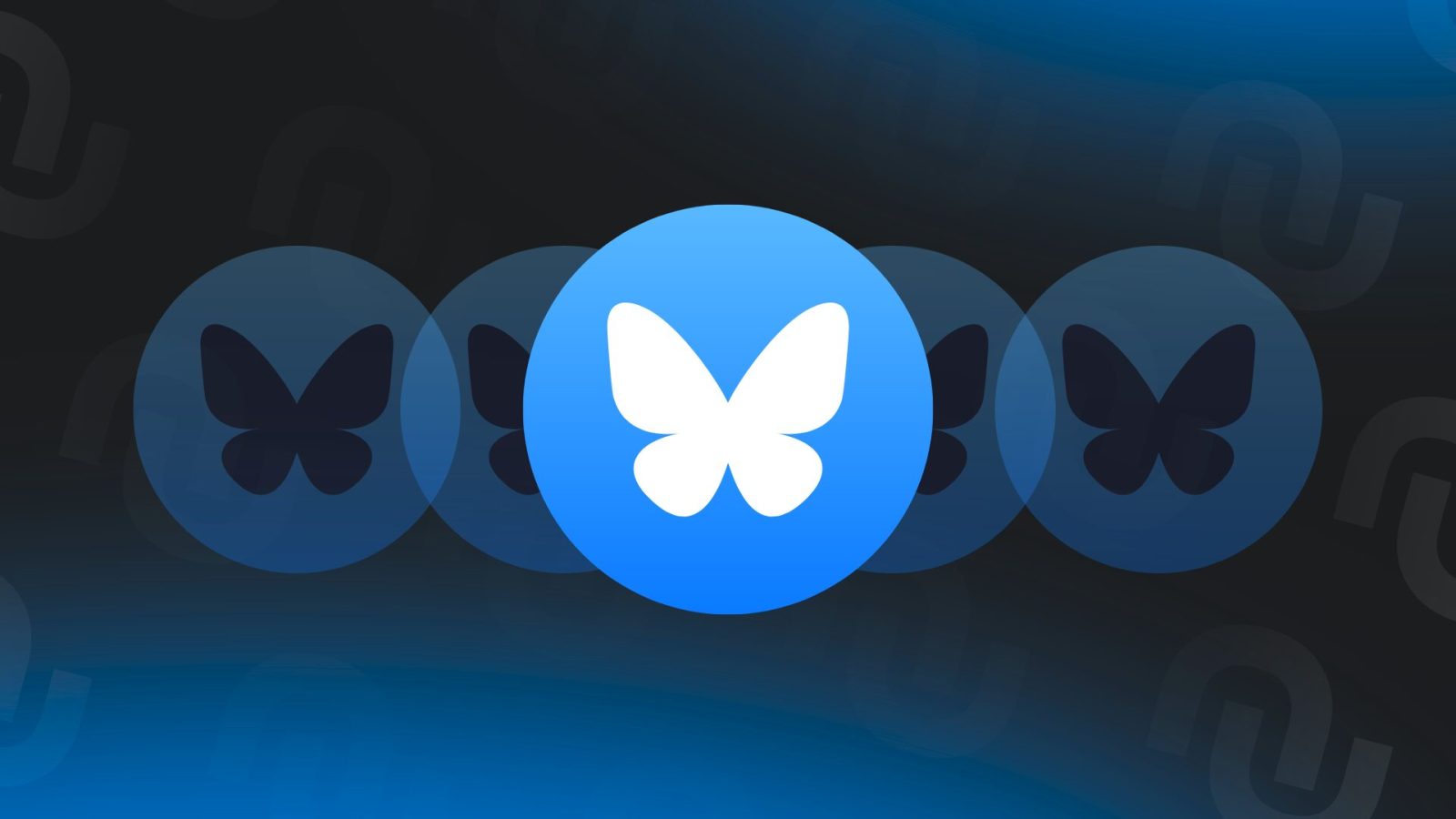 La PDG de Bluesky démissionne 