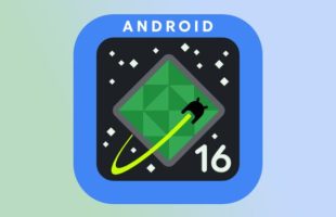 Le logo d'Android 16 Developer Preview. // Source : Numerama